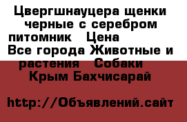 Цвергшнауцера щенки черные с серебром питомник › Цена ­ 30 000 - Все города Животные и растения » Собаки   . Крым,Бахчисарай